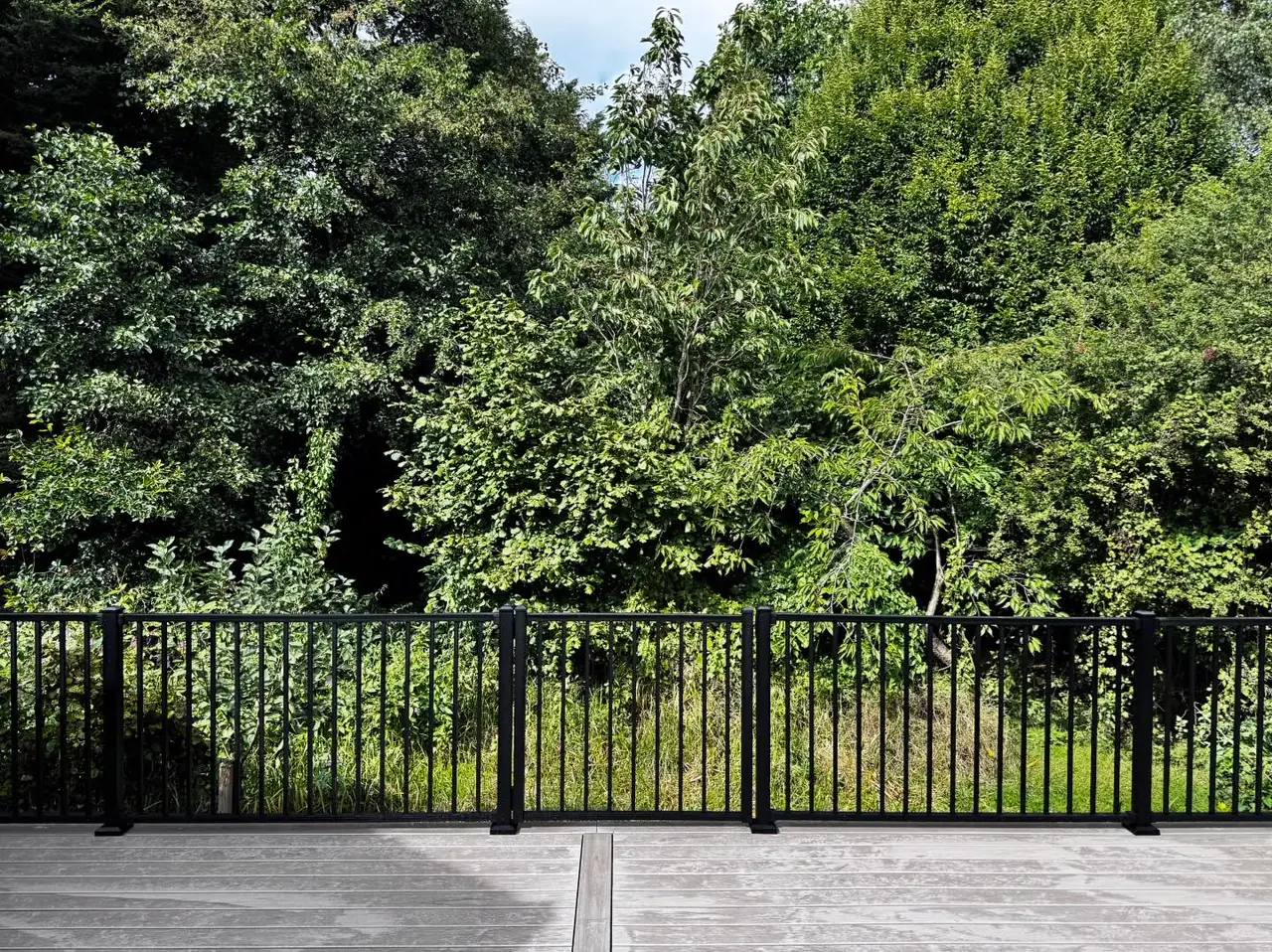 Black railing around a grey deck, woodland beyond